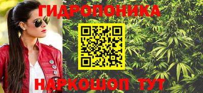 крисы Волжский