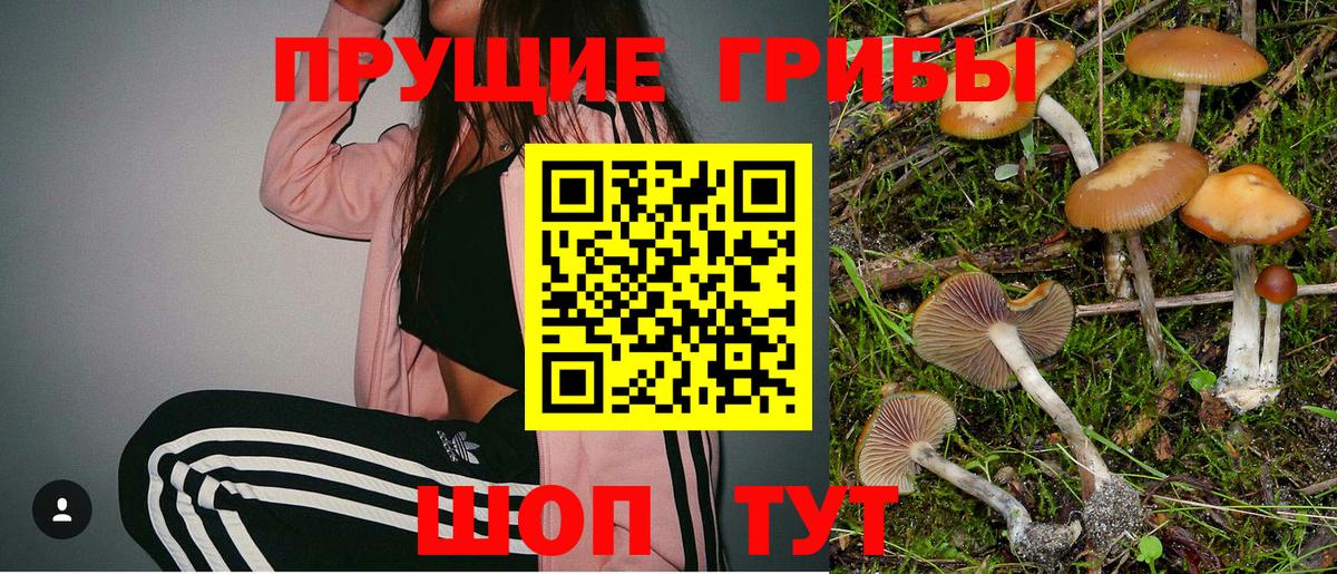 Галлюциногенные грибы мухоморы Костомукша