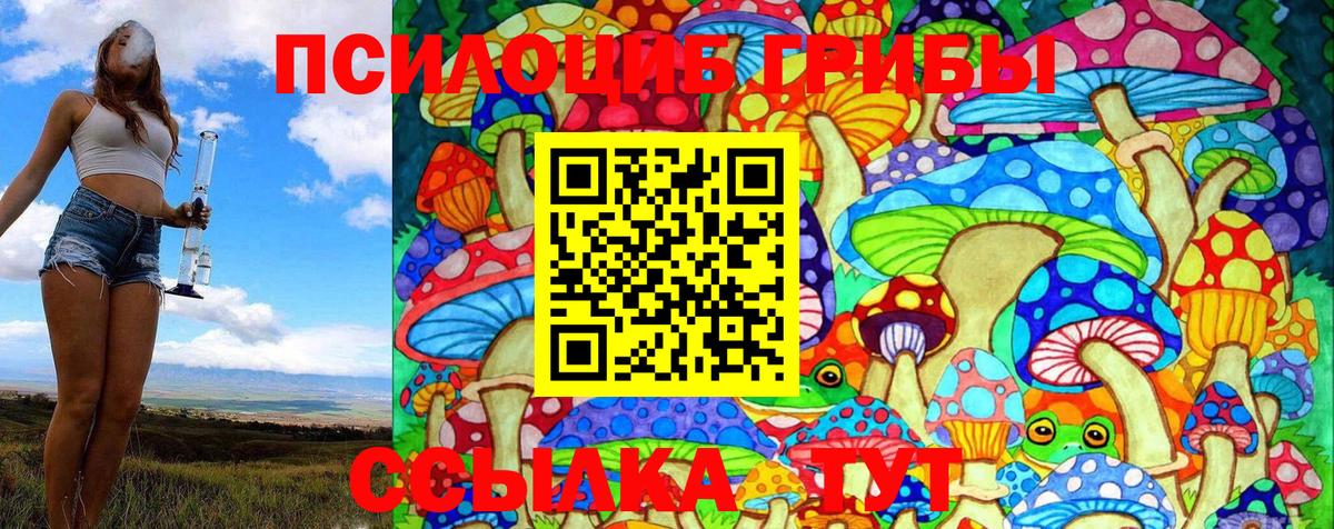Галлюциногенные грибы Psilocybe  Вход с VPN  Костомукша  Псилоцибиновые грибы Cubensis 